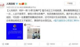 成都大学生爆料案件视频