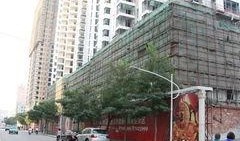 石家庄写字楼爆料案最新,揭秘背后惊人真相与法律较量