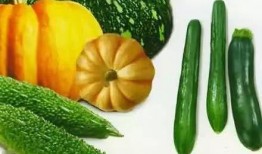 老百姓免费吃瓜,老百姓共享丰收喜悦